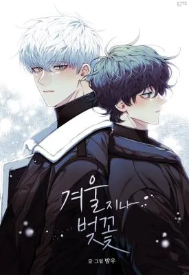 Cherry Blossoms After Winter (Yaoi)